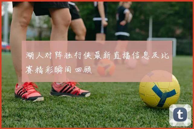 湖人对阵独行侠最新直播信息及比赛精彩瞬间回顾