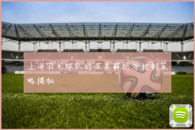 上海羽毛球队的深度解析与控制策略揭秘