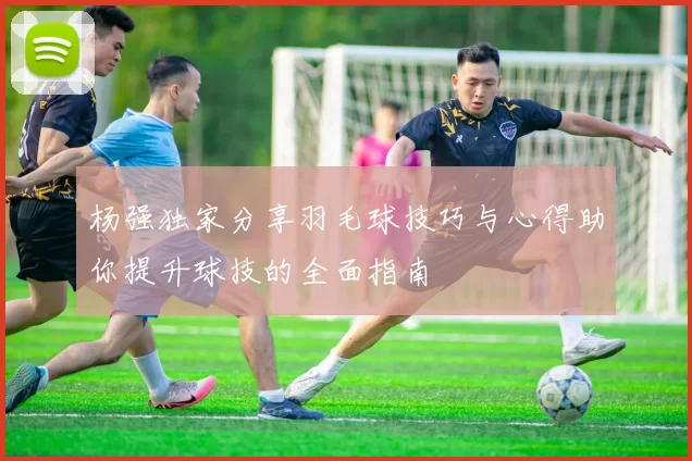 杨强独家分享羽毛球技巧与心得助你提升球技的全面指南