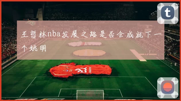 王哲林nba发展之路是否会成就下一个姚明