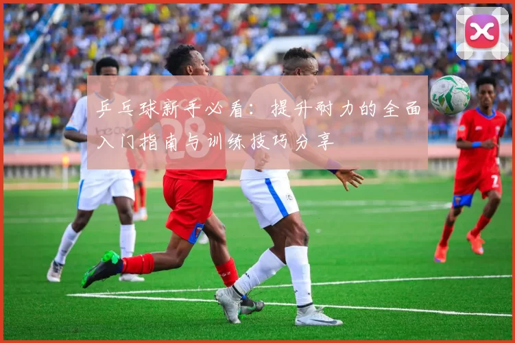 乒乓球新手必看：提升耐力的全面入门指南与训练技巧分享