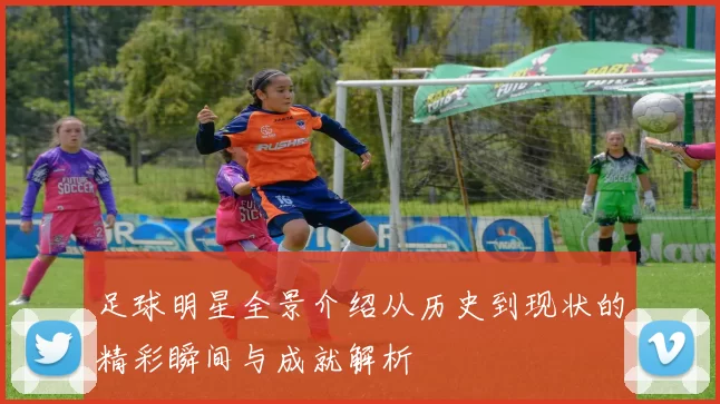 足球明星全景介绍从历史到现状的精彩瞬间与成就解析