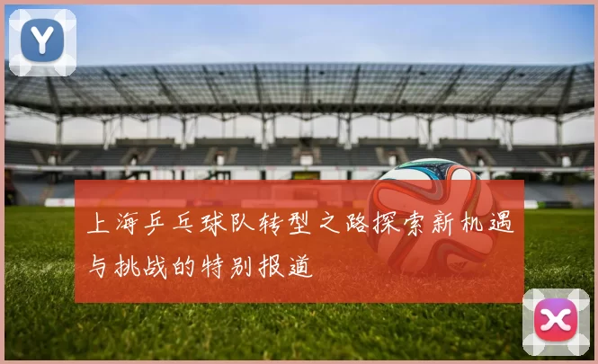 上海乒乓球队转型之路探索新机遇与挑战的特别报道
