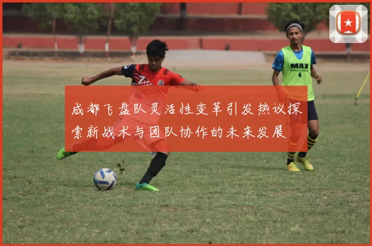 成都飞盘队灵活性变革引发热议探索新战术与团队协作的未来发展