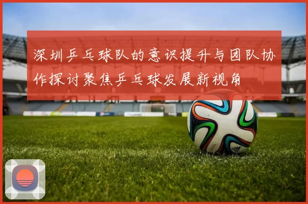 深圳乒乓球队的意识提升与团队协作探讨聚焦乒乓球发展新视角