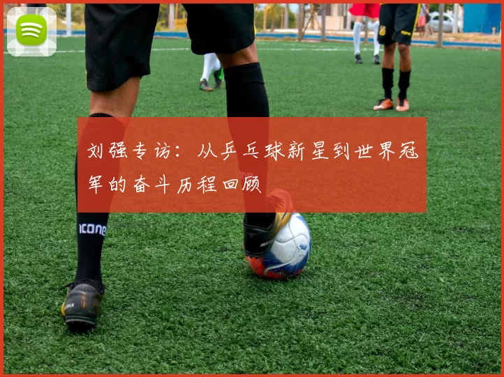刘强专访：从乒乓球新星到世界冠军的奋斗历程回顾