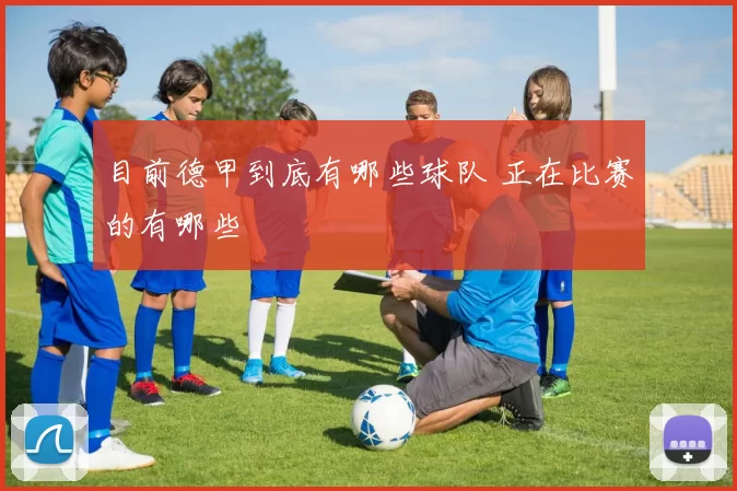 目前德甲到底有哪些球队 正在比赛的有哪些