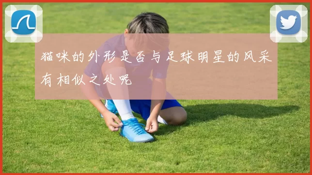 猫咪的外形是否与足球明星的风采有相似之处呢