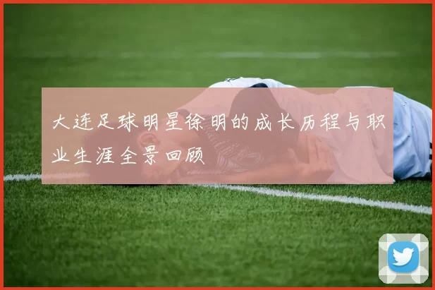 大连足球明星徐明的成长历程与职业生涯全景回顾
