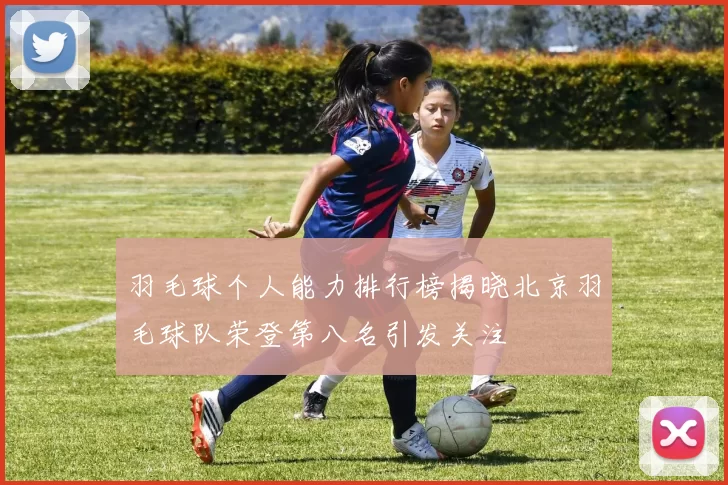 羽毛球个人能力排行榜揭晓北京羽毛球队荣登第八名引发关注