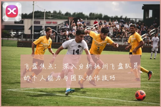 飞盘焦点：深入分析杭州飞盘队员的个人能力与团队协作技巧