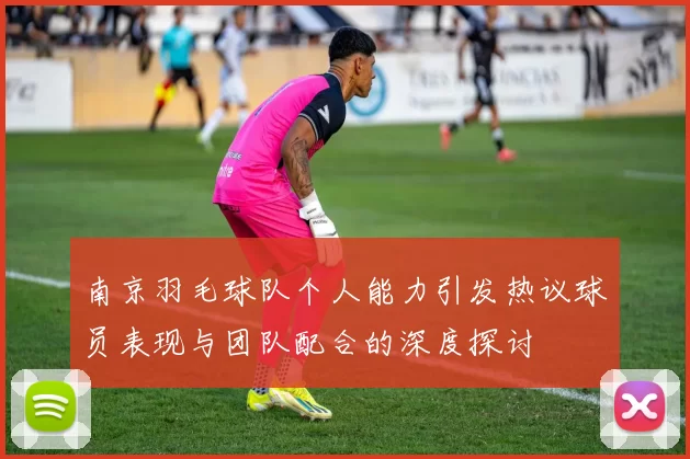 南京羽毛球队个人能力引发热议球员表现与团队配合的深度探讨