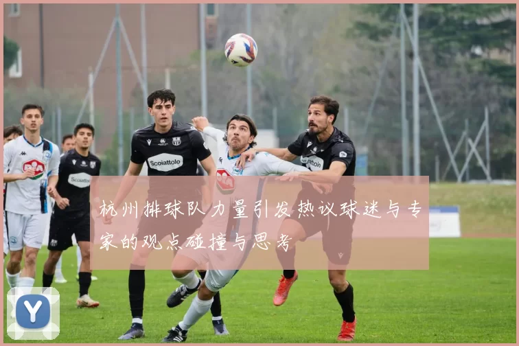 杭州排球队力量引发热议球迷与专家的观点碰撞与思考