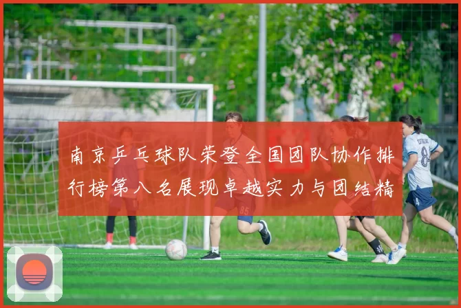 南京乒乓球队荣登全国团队协作排行榜第八名展现卓越实力与团结精神
