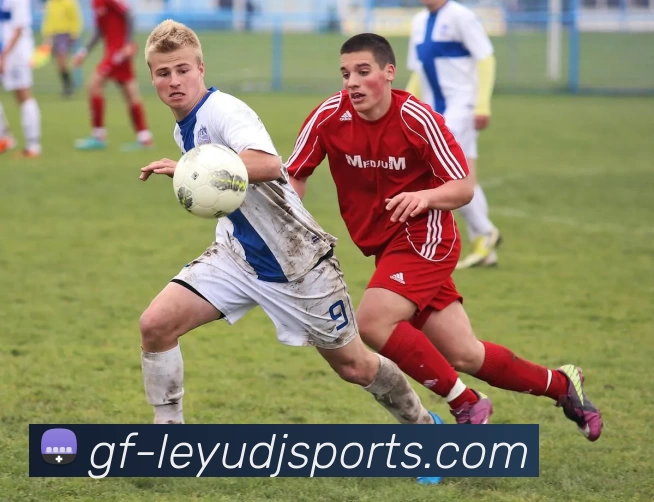 数据防护可视化